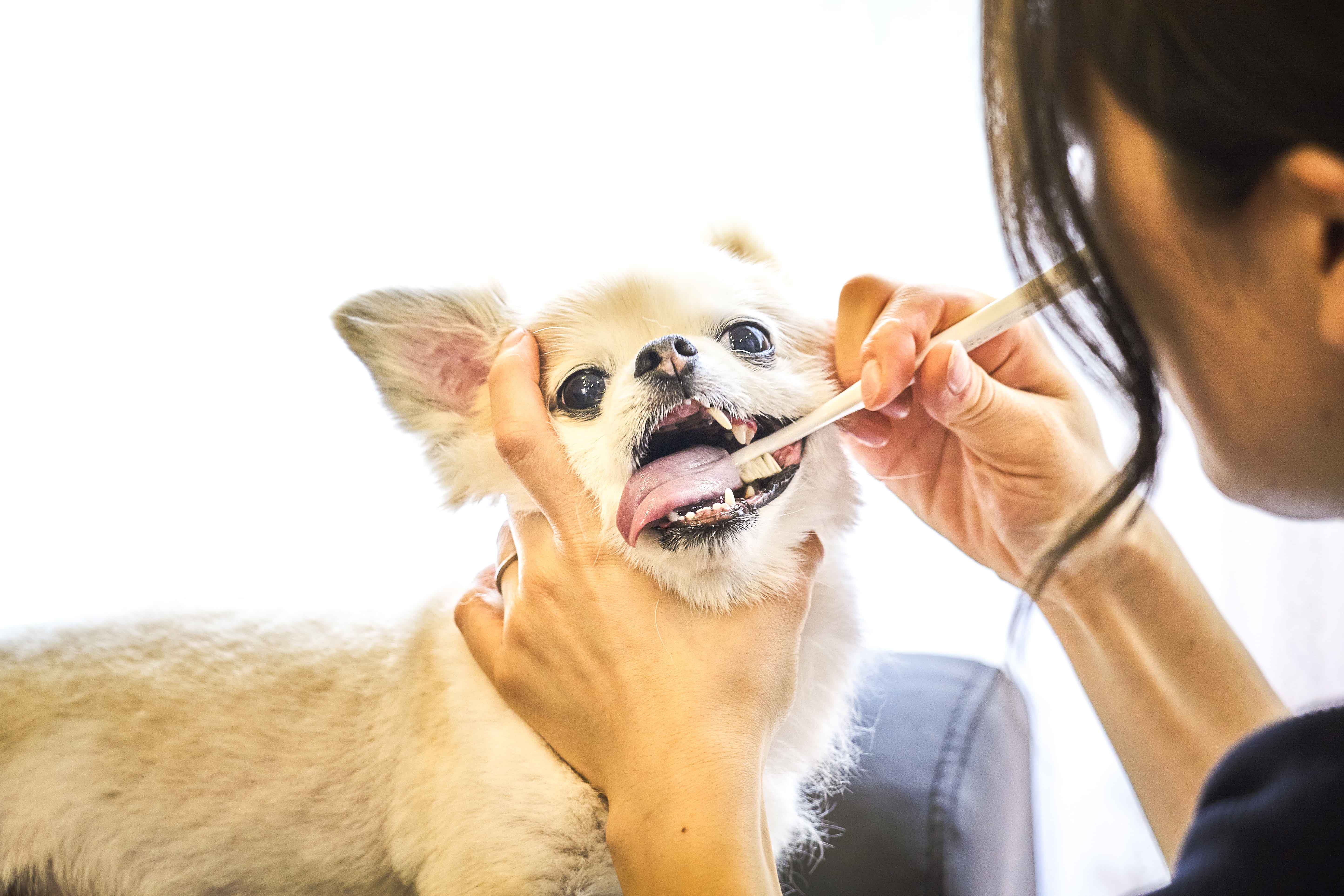 60代以上の高齢の方