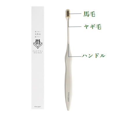 テルナブラシの製品特徴