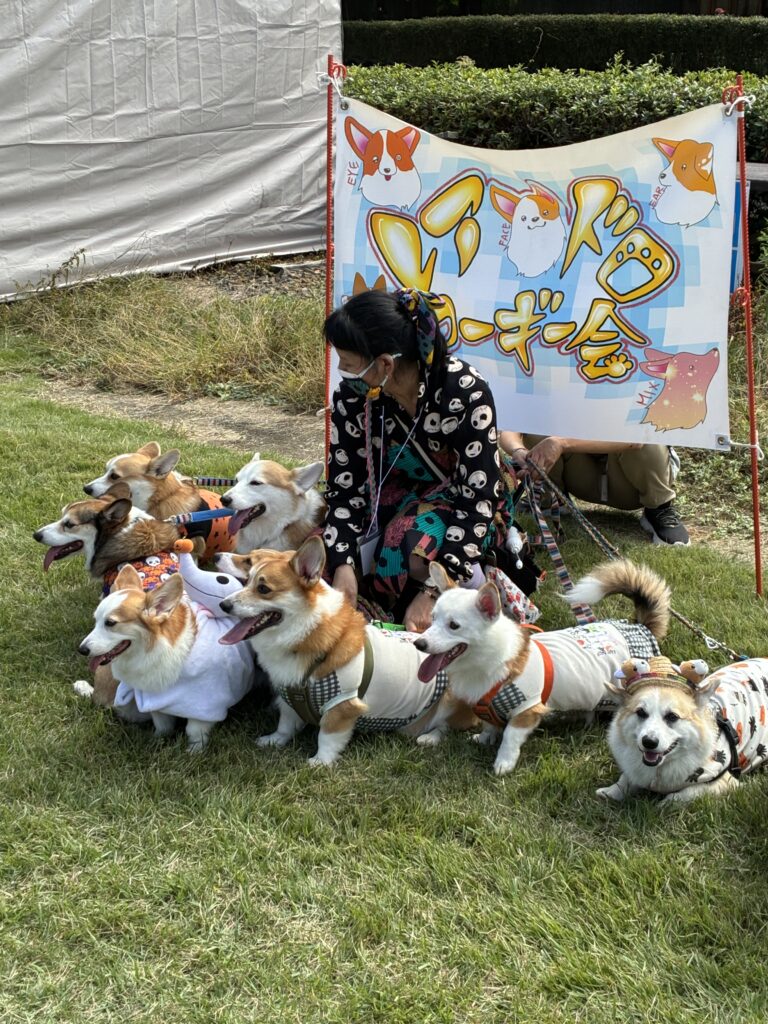 【ワミール（Wameal）】イベント出展スケジュールのお知らせ🐶