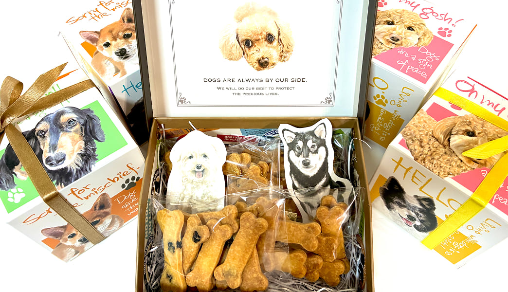 🐾【新ブランドのお知らせ】犬用クッキー「ワミール（Wameal）」誕生🐾