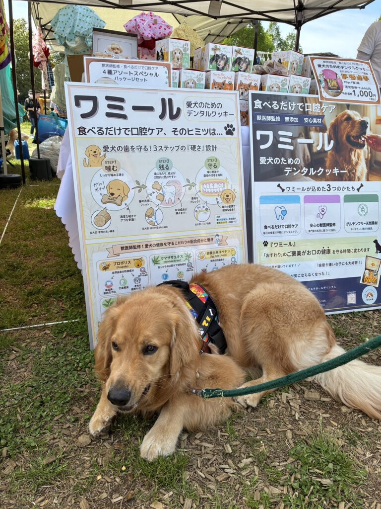 【イベント出店のお知らせ】コーギーフェスとレトリーバーフェスに出店しました！